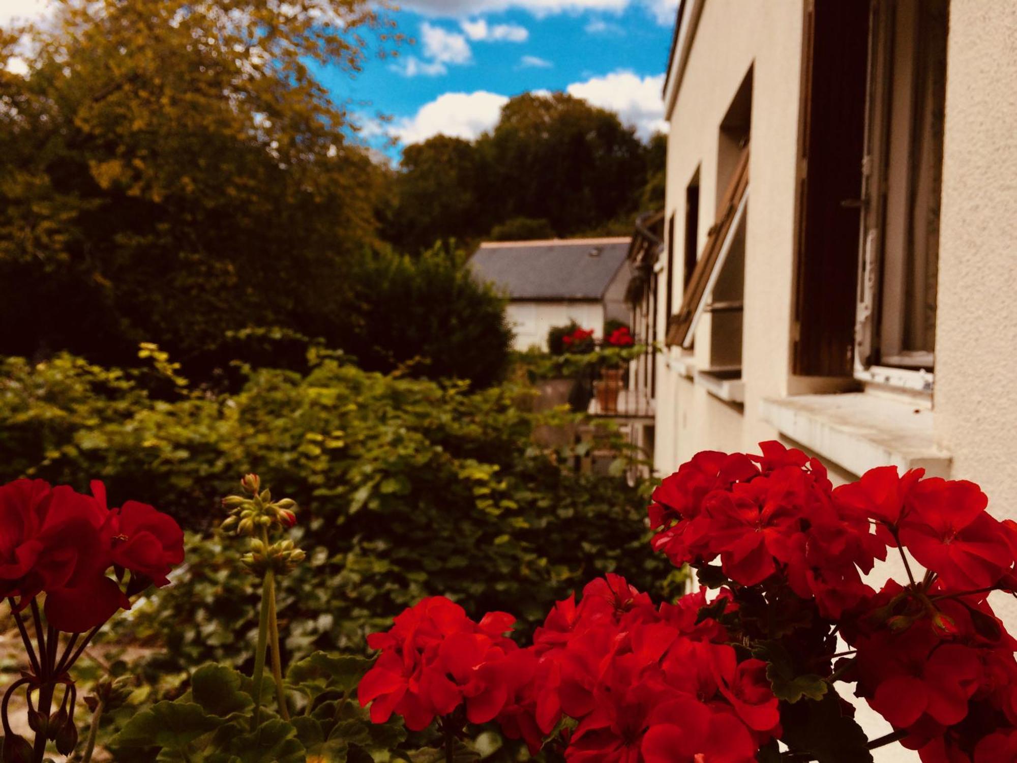 Le Clos Rabelais Langeais Exterior foto